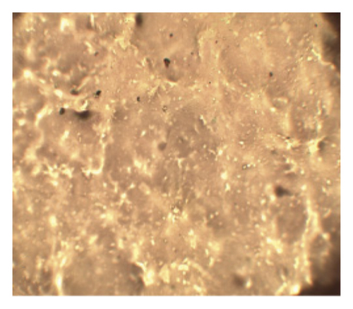 Details are in the caption following the image