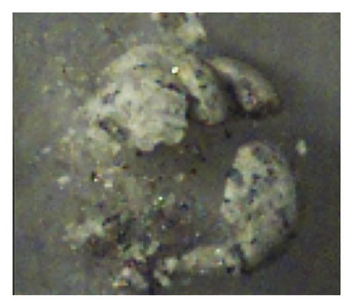 Details are in the caption following the image