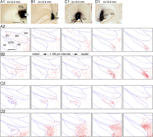 Details are in the caption following the image Details are in the caption following the image
