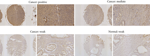 Details are in the caption following the image Details are in the caption following the image