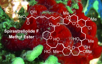 Total Synthesis of Spirastrellolide F Methyl Ester—Part 2: Macrocyclization and Completion of the Synthesis