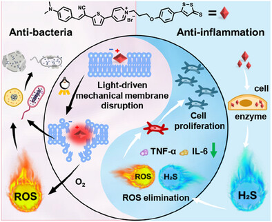 H2S Donor Functionalized Molecular Machine for Combating Multidrug-Resistant Bacteria Infected Chronic Wounds