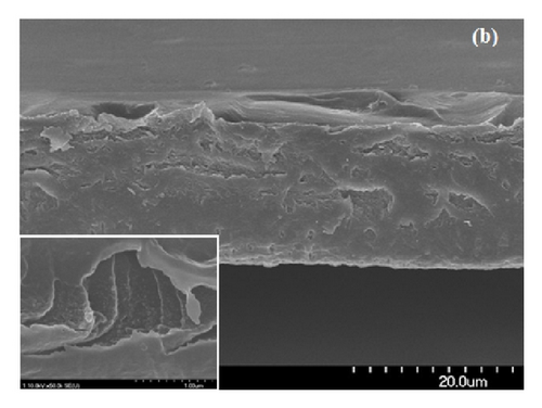 Details are in the caption following the image