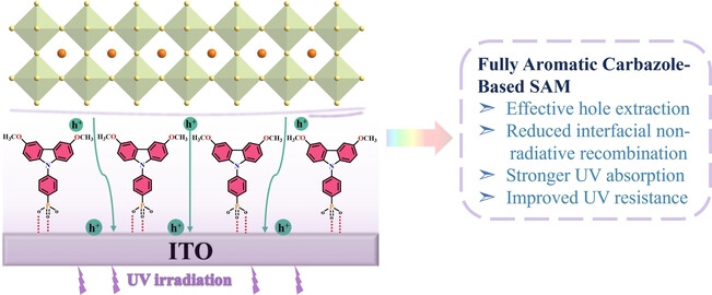 Fully Aromatic Self-Assembled Hole-Selective Layer toward Efficient Inverted Wide-Bandgap Perovskite Solar Cells with Ultraviolet Resistance