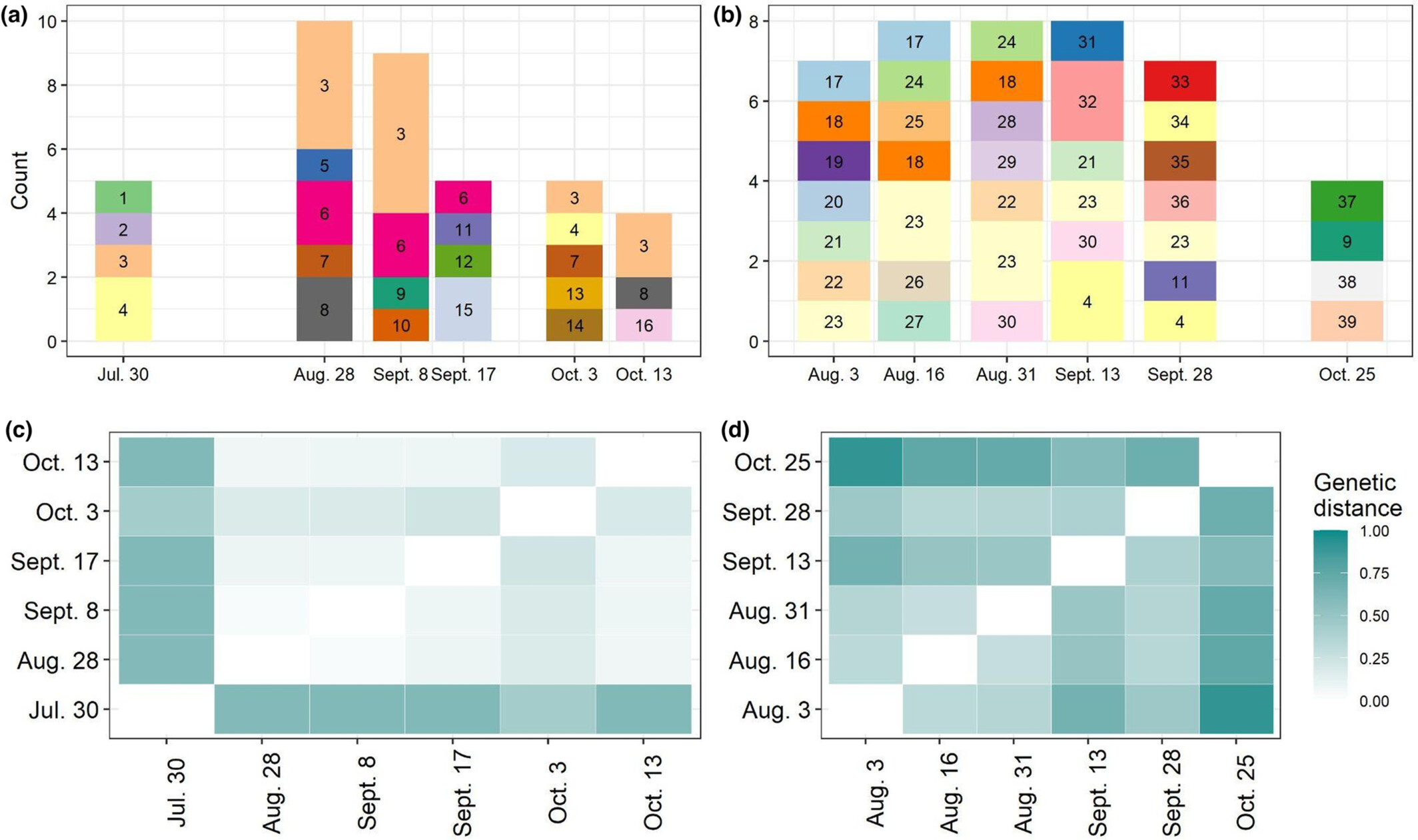 Rapid evolution of a bacterial parasite during outbreaks in two Daphnia populations
