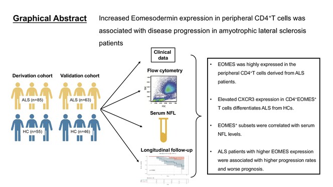 Eomesodermin expression in CD4+T-cells associated with disease progression in amyotrophic lateral sclerosis