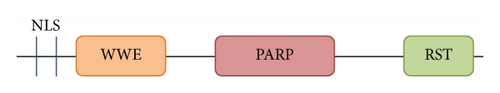 Details are in the caption following the image