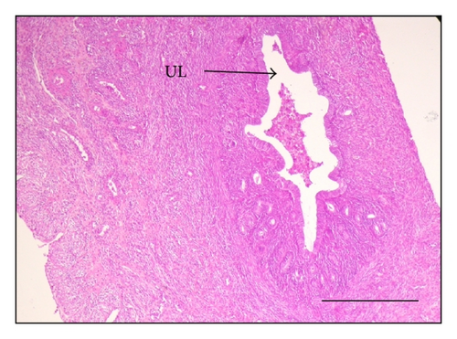 Details are in the caption following the image