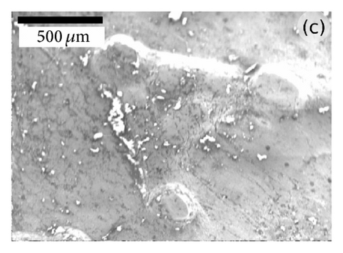 Details are in the caption following the image