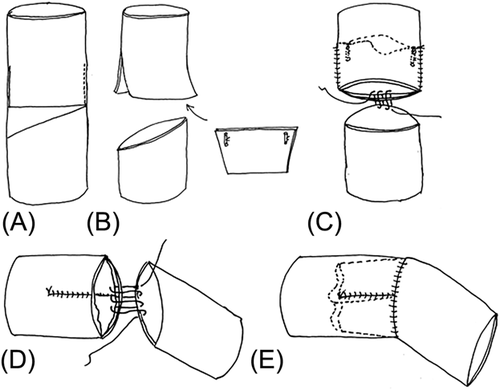 Details are in the caption following the image Details are in the caption following the image
