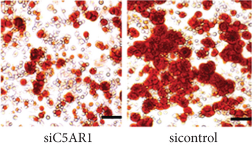 Details are in the caption following the image