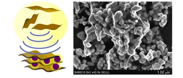 Sonochemical Synthesis of Graphene Oxide-Wrapped Gold Nanoparticles Hybrid Materials: Visible Light Photocatalytic Activity