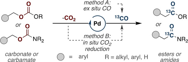 Low Pressure Carbonylation of Benzyl Carbonates and Carbamates for Applications in 13C Isotope Labeling and Catalytic CO2 Reduction