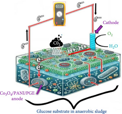 Details are in the caption following the image