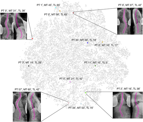 Details are in the caption following the image Details are in the caption following the image