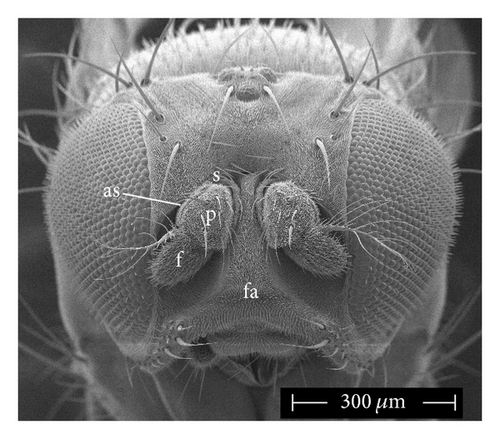 Details are in the caption following the image
