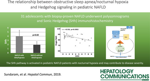 Nocturnal Hypoxia Activation of the Hedgehog Signaling Pathway Affects Pediatric Nonalcoholic Fatty Liver Disease Severity
