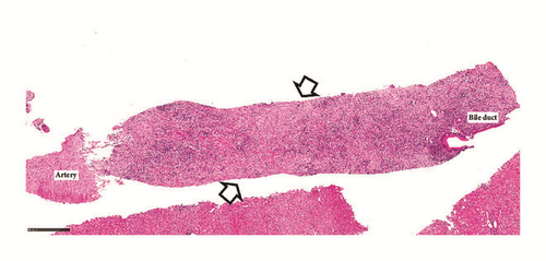 Details are in the caption following the image