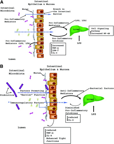 Details are in the caption following the image Details are in the caption following the image