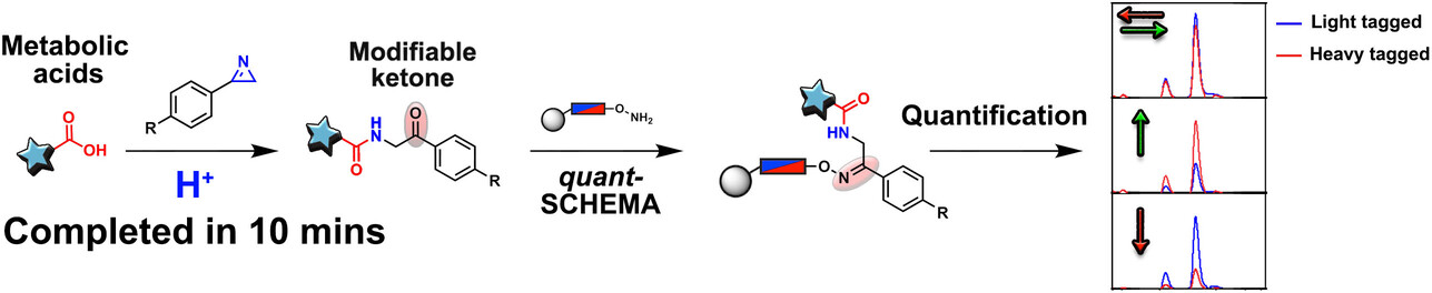 Rapid and Bifunctional Chemoselective Metabolome Analysis of Liver Disease Plasma Using the Reagent 4-Nitrophenyl-2H-azirine