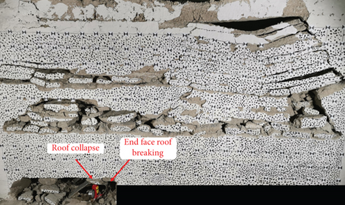 Details are in the caption following the image Details are in the caption following the image