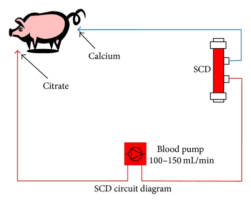 Details are in the caption following the image Details are in the caption following the image