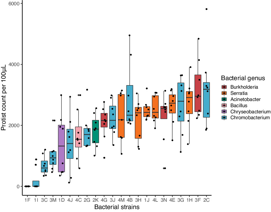 Prey identity affects fitness of a generalist consumer in a brown food web