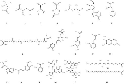 Details are in the caption following the image Details are in the caption following the image