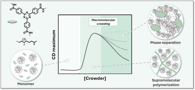 Macromolecule-Driven Supramolecular Polymerization Induced by Crowding Effects