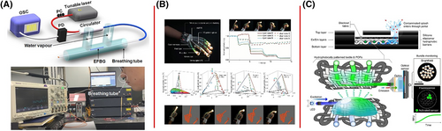 Details are in the caption following the image Details are in the caption following the image