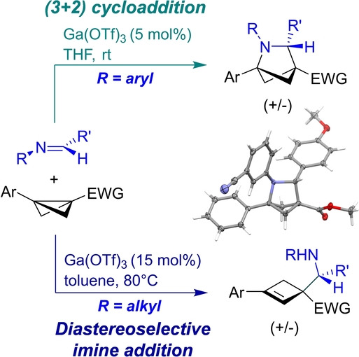 Beyond Bioisosteres: Divergent Synthesis of Azabicyclohexanes and Cyclobutenyl Amines from Bicyclobutanes**