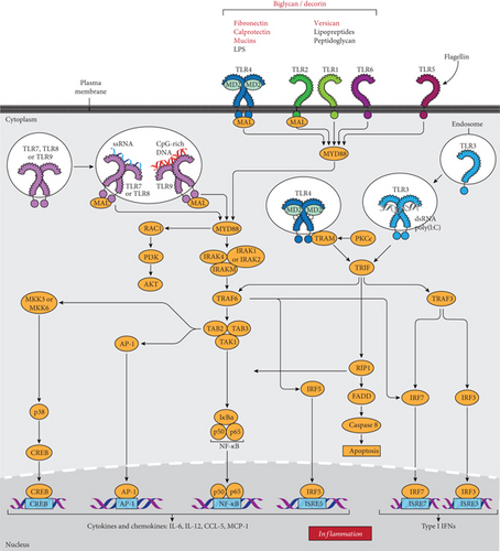 Details are in the caption following the image Details are in the caption following the image
