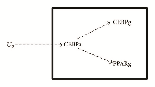 Details are in the caption following the image