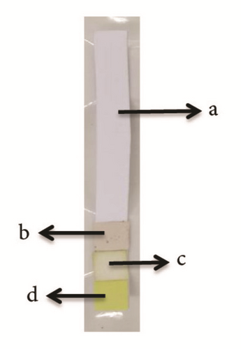 Details are in the caption following the image