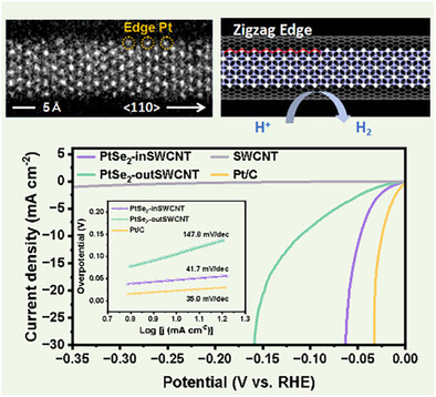 Ultrathin PtSe2 Nanowires in Single-Walled Carbon Nanotubes for Hydrogen Evolution Reaction
