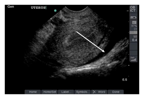 Details are in the caption following the image Details are in the caption following the image