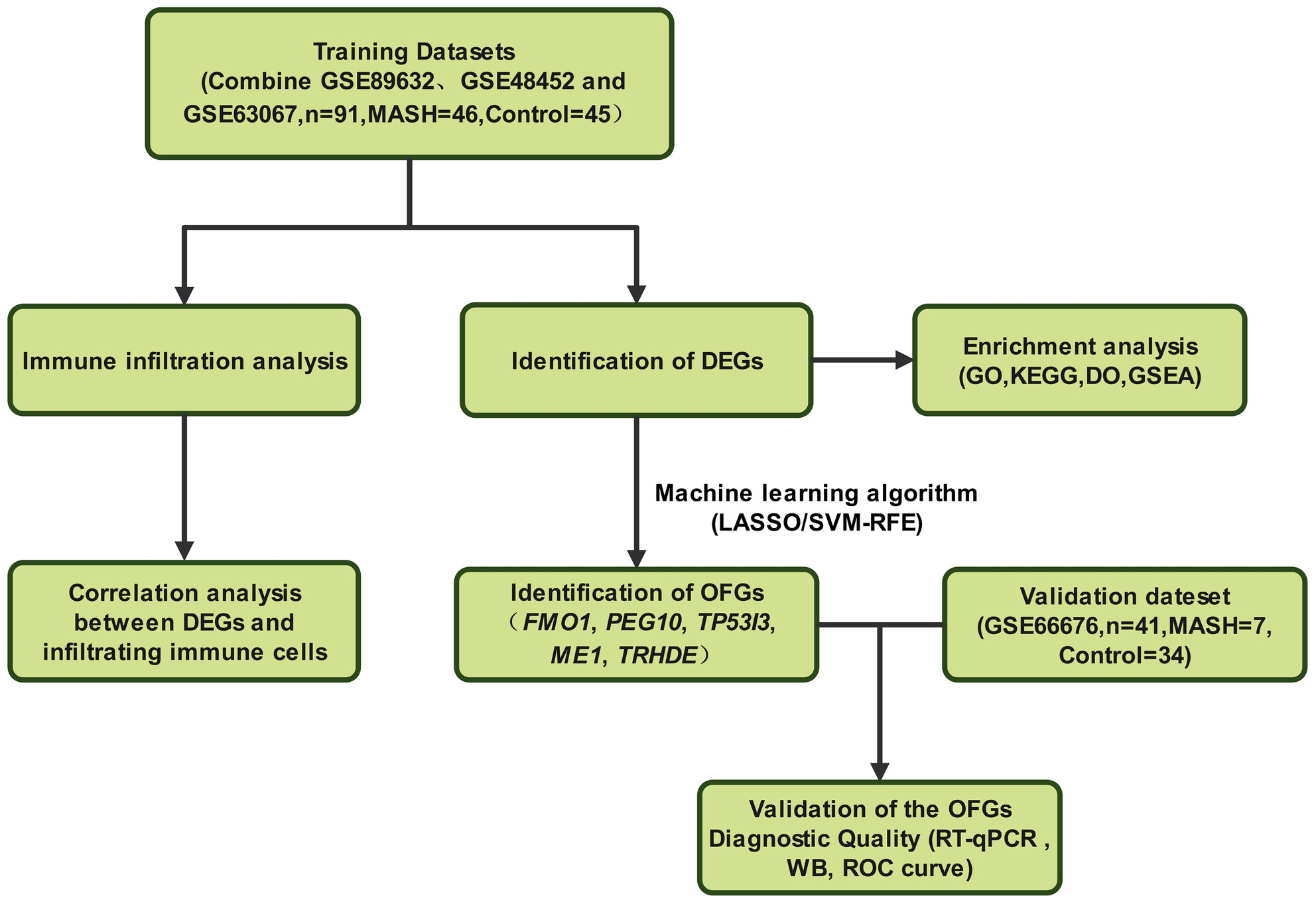 Identification and Validation of Biomarkers in Metabolic Dysfunction-Associated Steatohepatitis Using Machine Learning and Bioinformatics