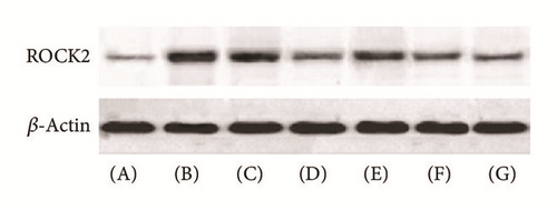 Details are in the caption following the image