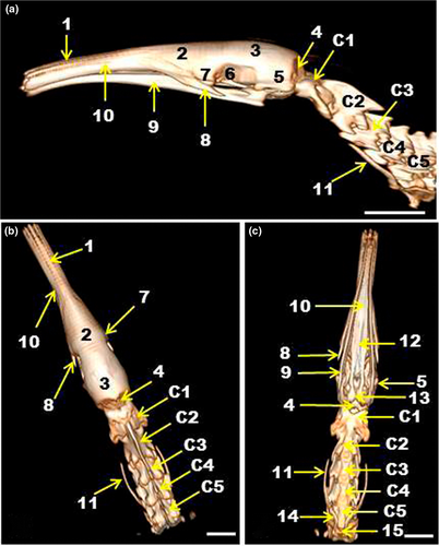 Details are in the caption following the image