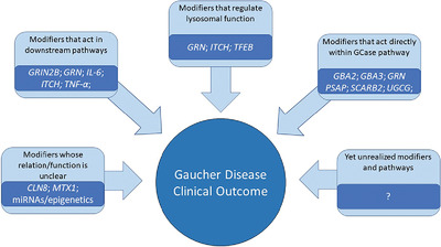 Exploring genetic modifiers of Gaucher disease: The next horizon