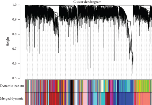 Details are in the caption following the image Details are in the caption following the image