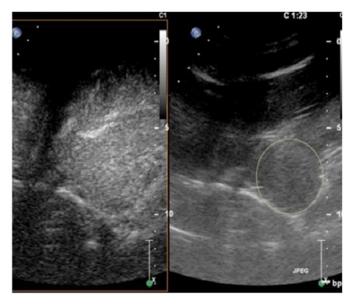 Details are in the caption following the image Details are in the caption following the image