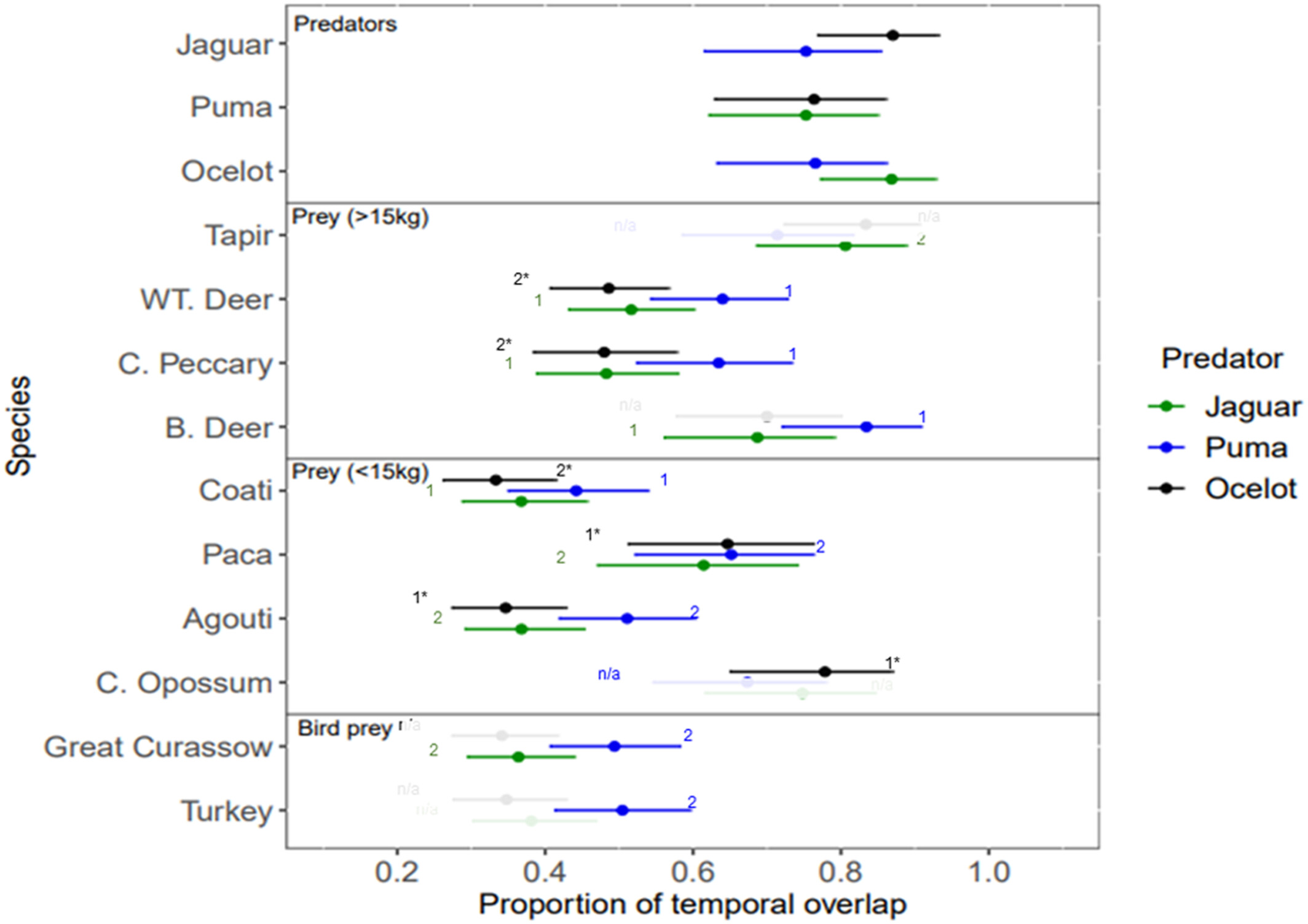 Neo-tropical felid activity patterns in relation to potential prey and intraguild competitors in the Calakmul Biosphere Reserve, Mexico