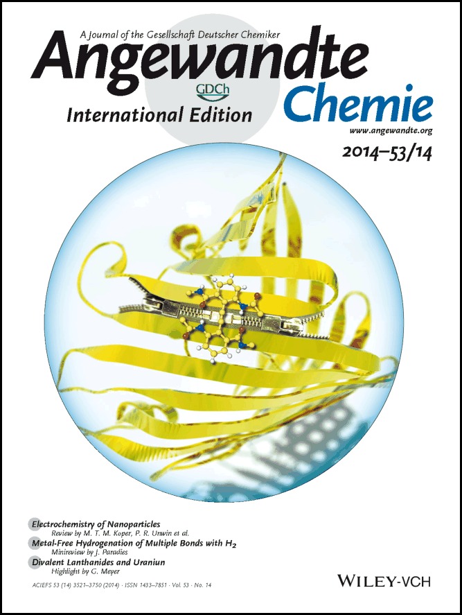 Cover Picture: Diphenylacetylene-Linked Peptide Strands Induce Bidirectional β-Sheet Formation (Angew. Chem. Int. Ed. 14/2014)