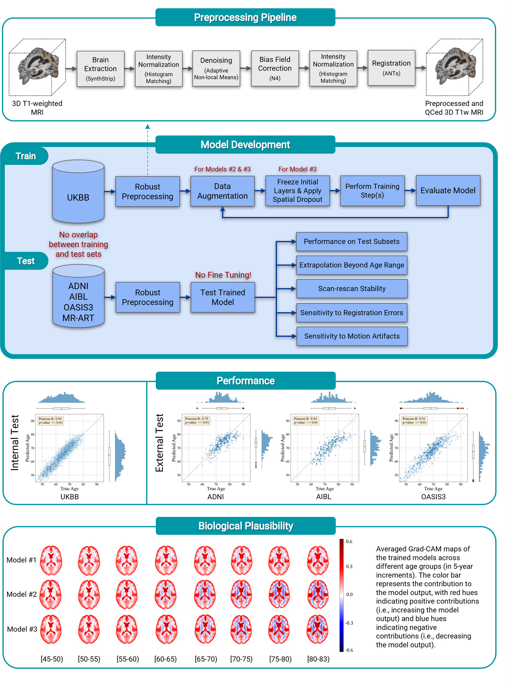 Brain Age Prediction: Deep Models Need a Hand to Generalize