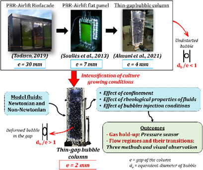 Gas Holdup and Flow Regimes in a Thin-Gap Bubble Column with Newtonian and Non-Newtonian Liquid Phase