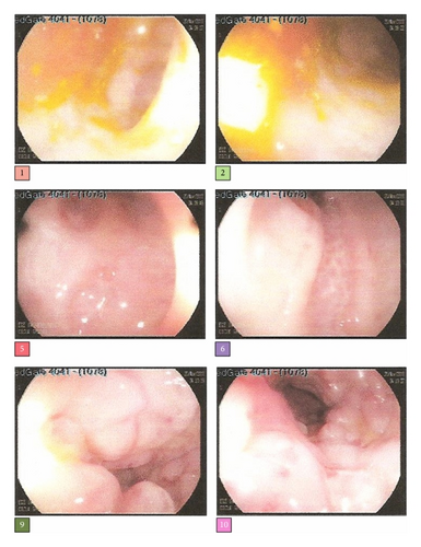 Details are in the caption following the image Details are in the caption following the image