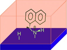 Adsorption of 1-(1-Naphthyl)ethylamine from Solution onto Platinum Surfaces: Implications for the Chiral Modification of Heterogeneous Catalysts