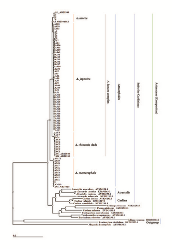 Details are in the caption following the image Details are in the caption following the image