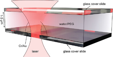 Thermoplasmonic Manipulation for the Study of Single Polymers and Protein Aggregates